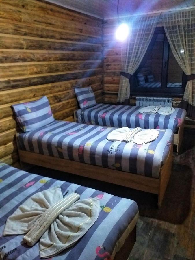 Altyn Arashan Guesthouse מראה חיצוני תמונה